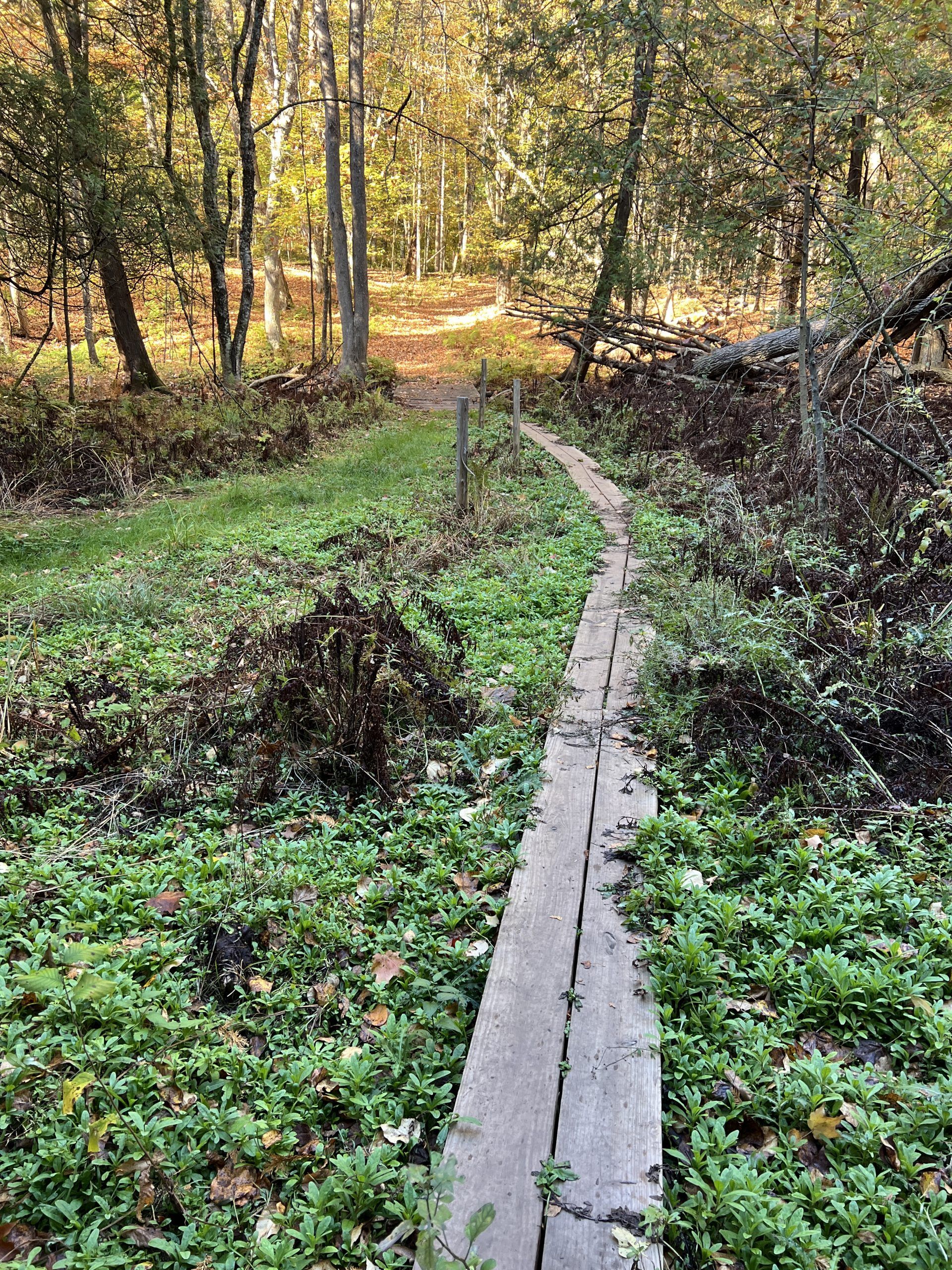IMG_5044 The beautiful colors of fall on the Iron Endurance Hiking Trails in Crystal Falls, Michigan