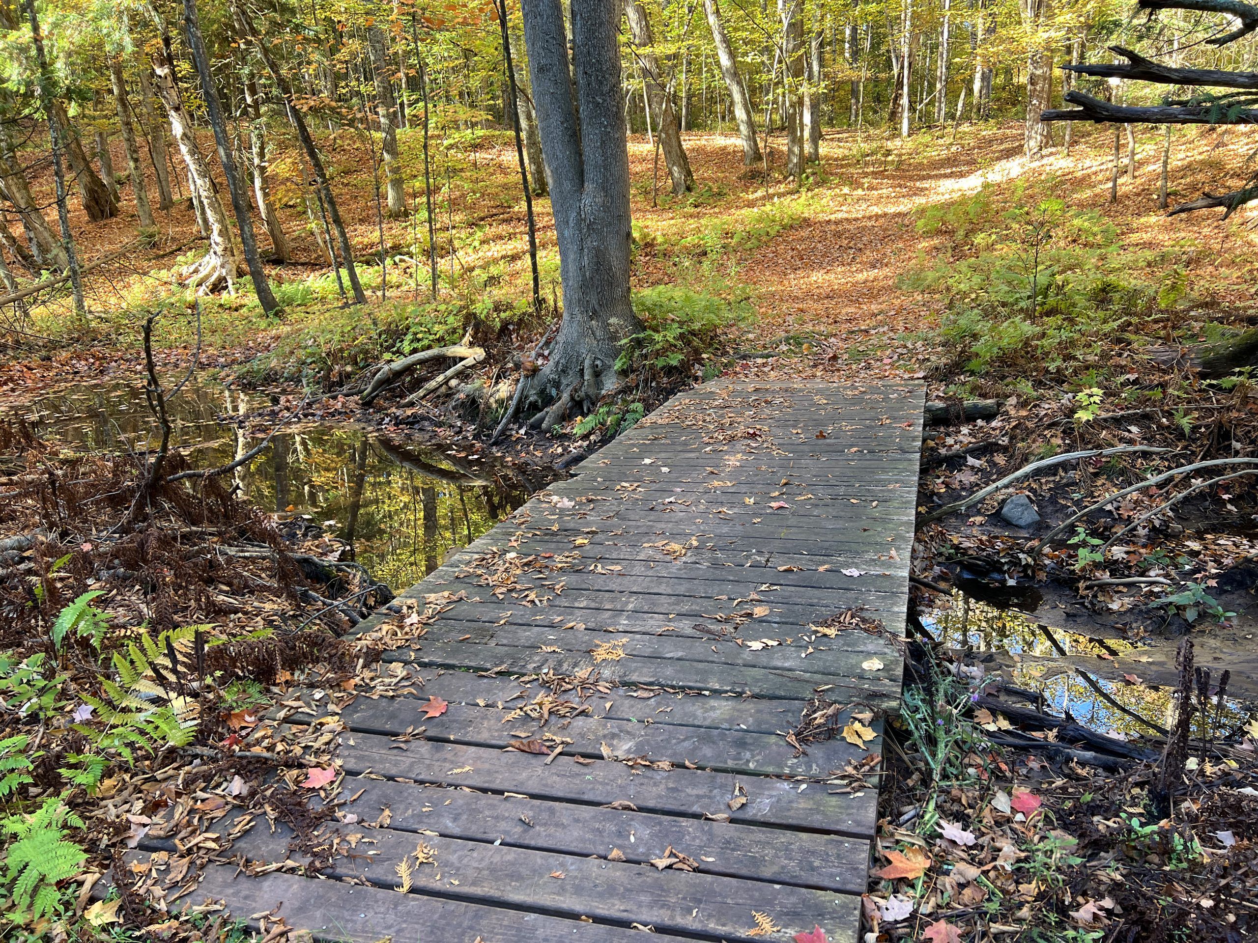 Bridge on the Iron Endurance Hiking Trails in Crystal Falls, MI Bridge on the Iron Endurance Hiking Trails in Crystal Falls, MI