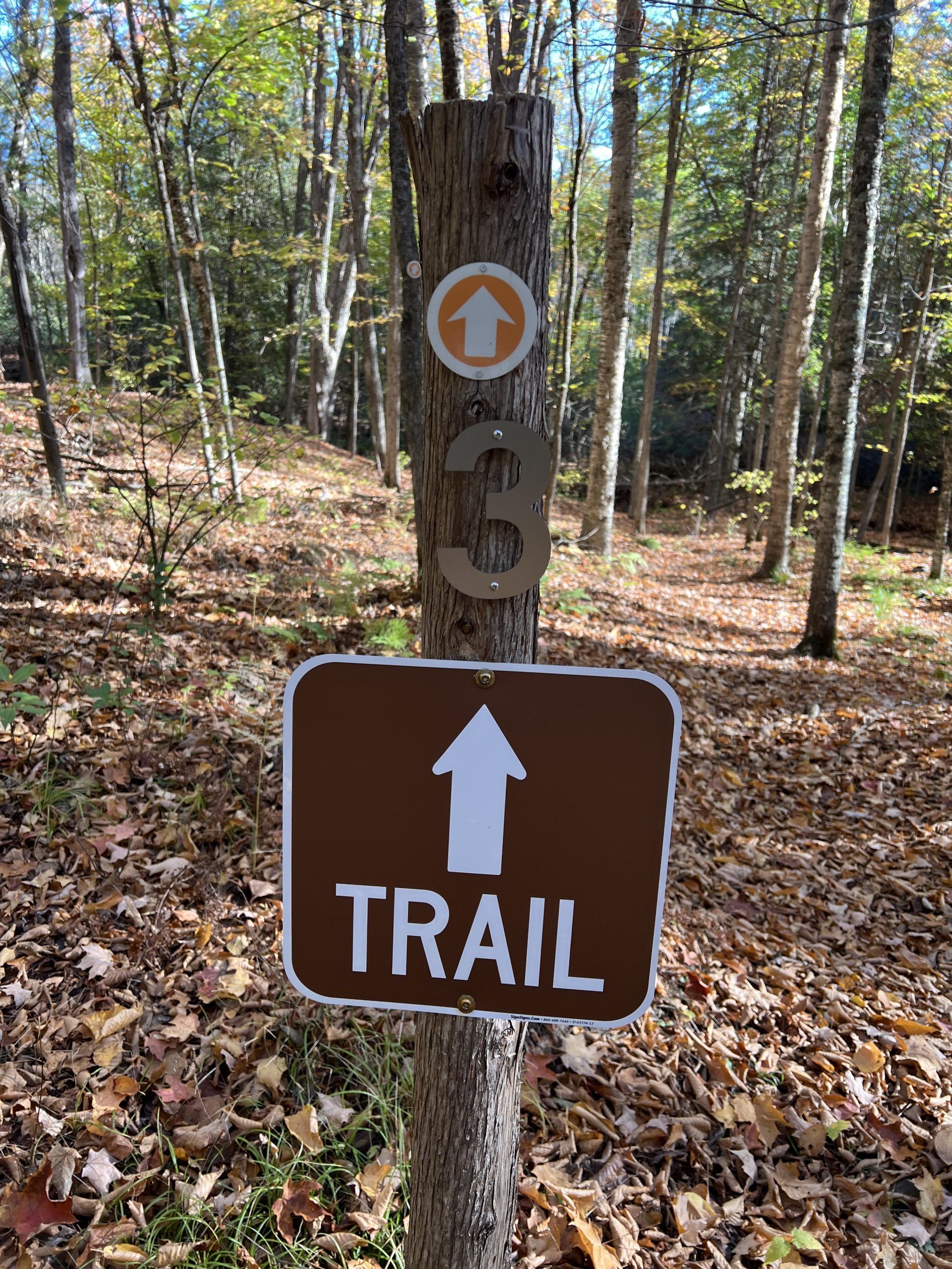 IMG_5054 The beautiful colors of fall on the Iron Endurance Hiking Trails in Crystal Falls, Michigan