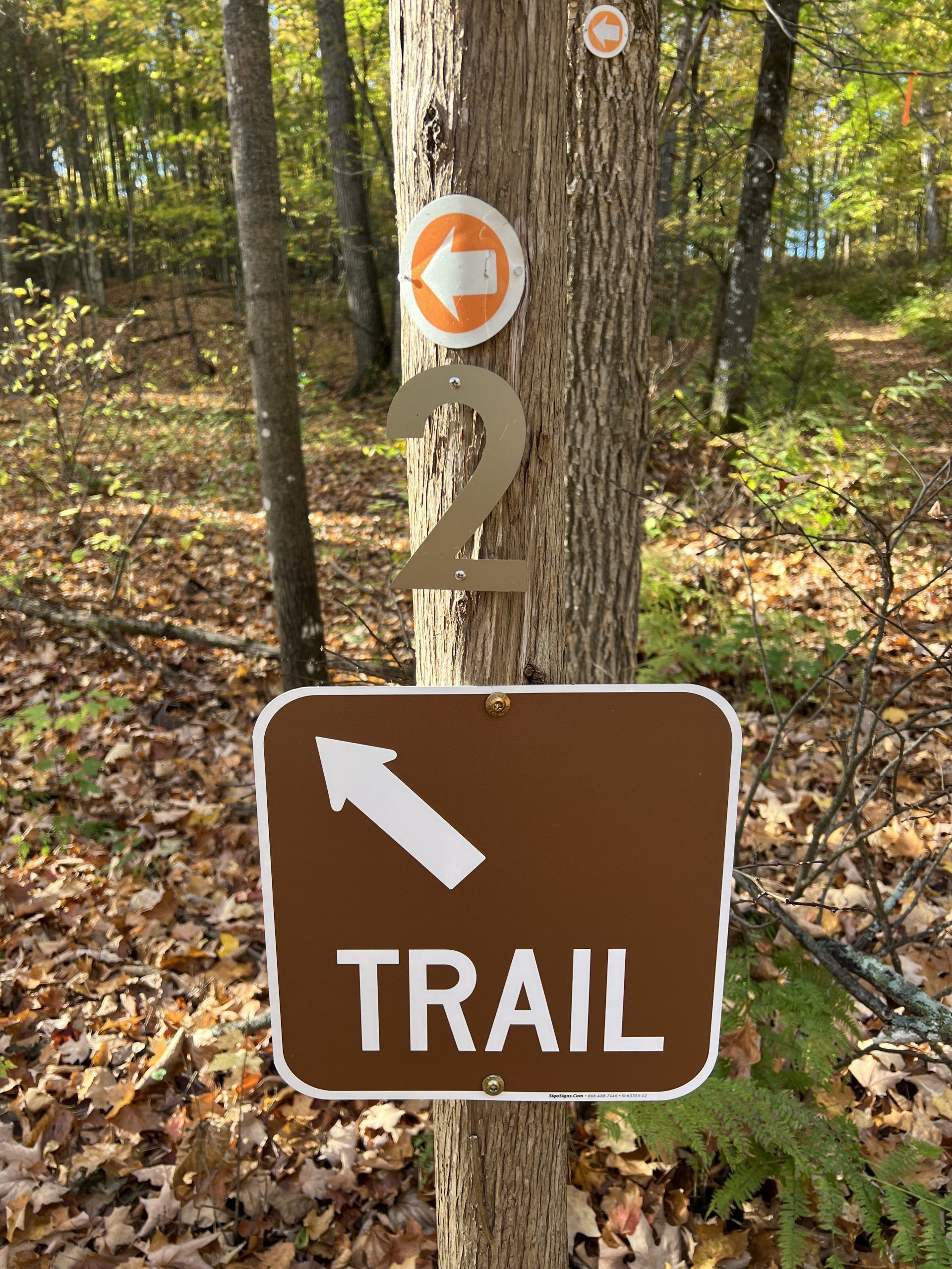 IMG_5055 Bridge on the Iron Endurance Hiking Trails in Crystal Falls, MI