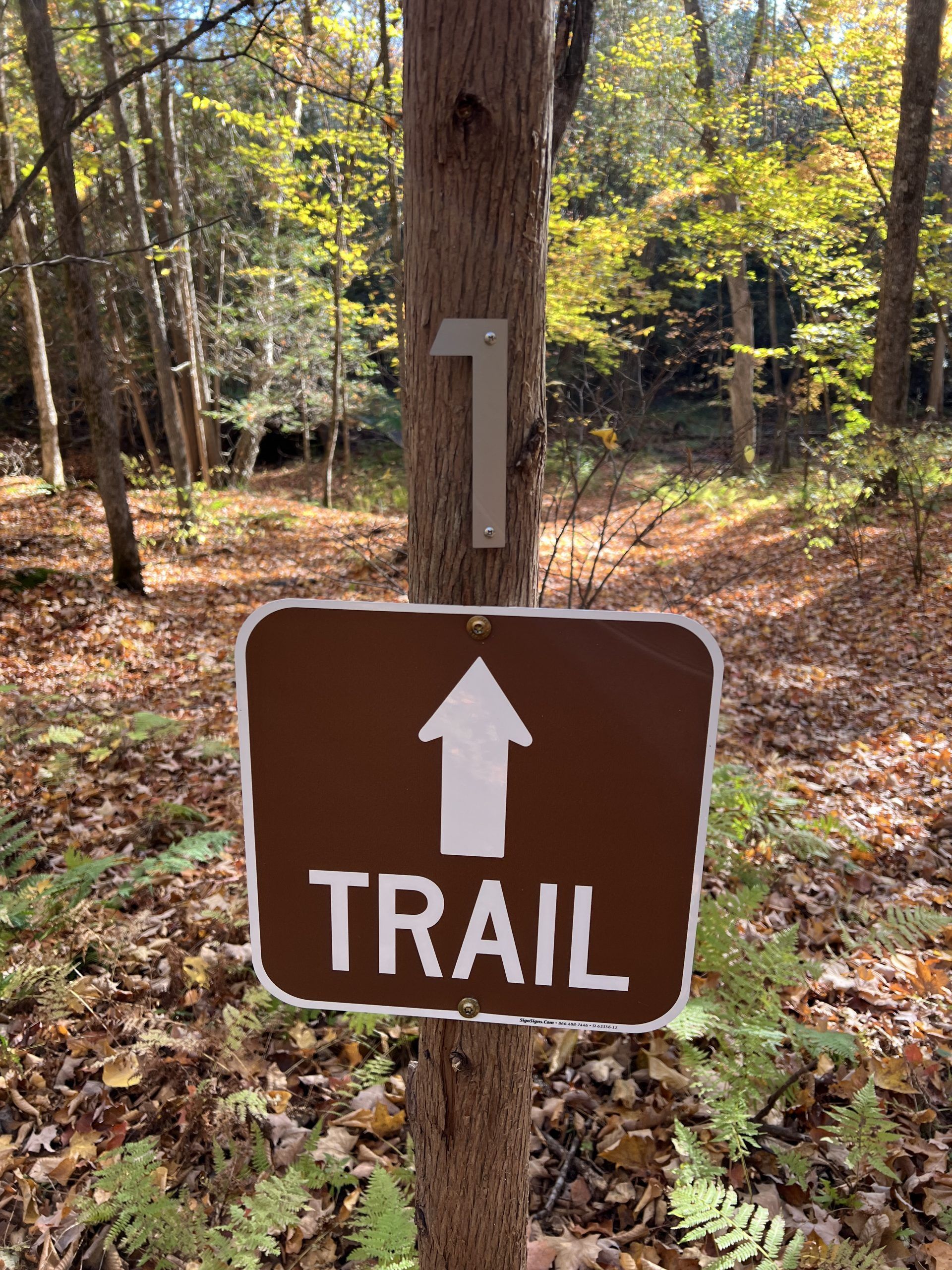 #1 marks the first part of the Hiking Trails at the ski hill in Crystal Falls, Upper Peninsula of Michigan #1 marks the first part of the Hiking Trails at the ski hill in Crystal Falls, Upper Peninsula of Michigan